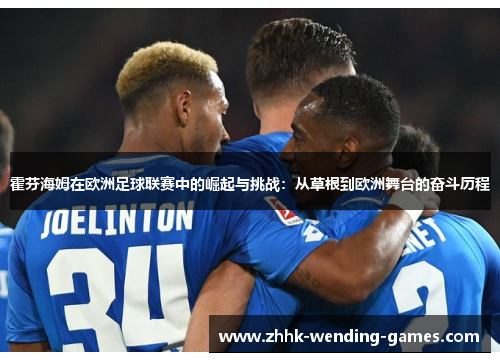 霍芬海姆在欧洲足球联赛中的崛起与挑战：从草根到欧洲舞台的奋斗历程